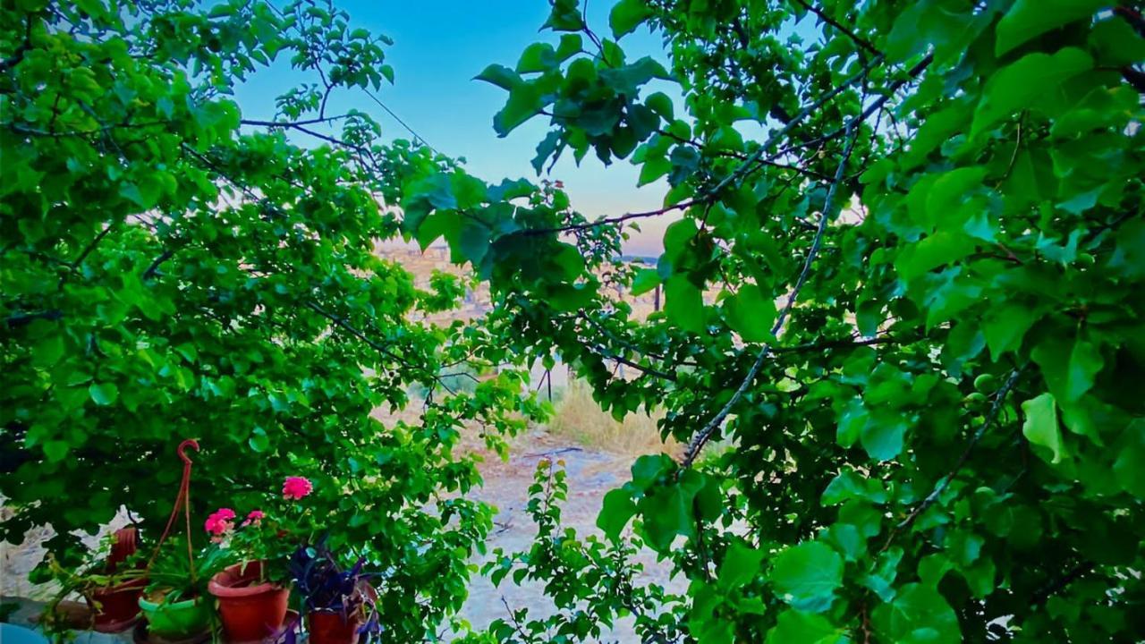 Jerash Canopy Jarash Buitenkant foto